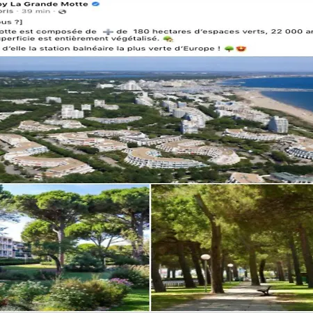 Lena - Motte - - Centre - 50m Port - Confort *