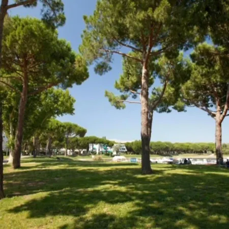 Lena - Motte - - Centre - 50m Port - Confort * La Grande-Motte
